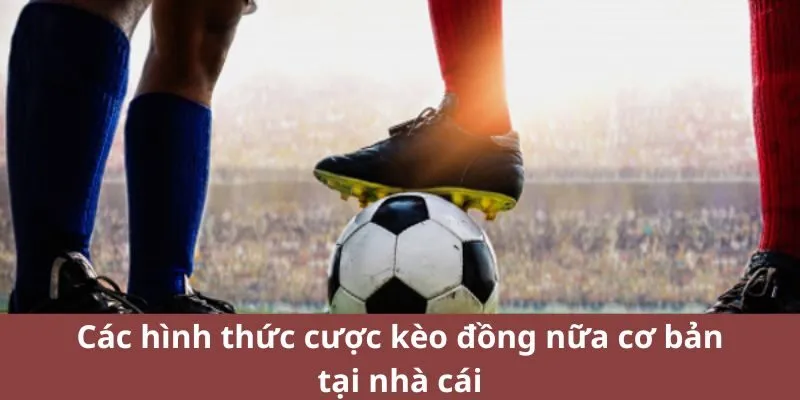 Các hình thức cược kèo đồng nữa cơ bản tại nhà cái