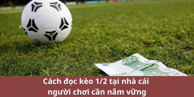 Cách đọc kèo 1/2 tại nhà cái người chơi cần nắm vững