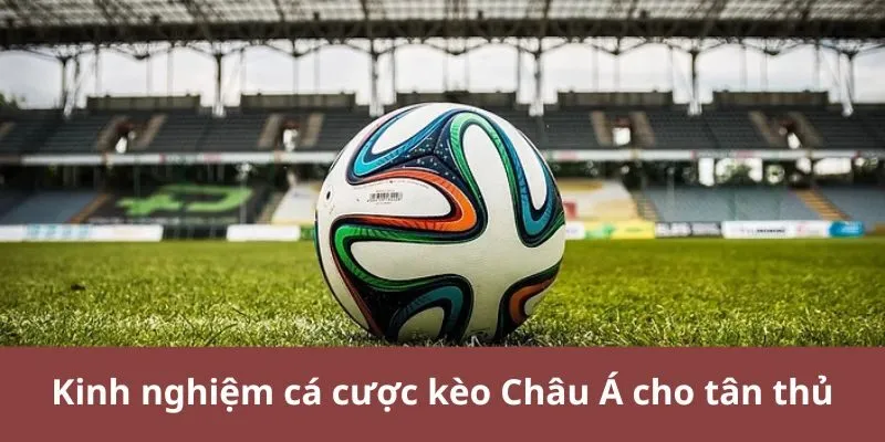 Kinh nghiệm cá cược kèo Châu Á cho tân thủ