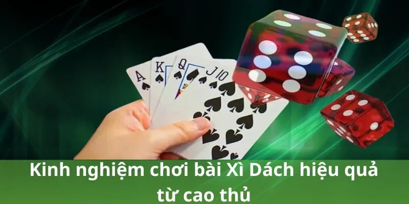 Kinh nghiệm chơi bài Xì Dách hiệu quả từ cao thủ