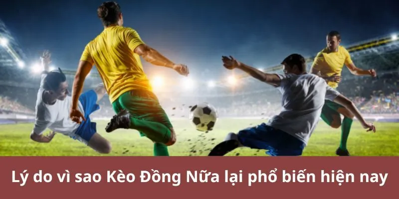 Lý do vì sao Kèo Đồng Nữa lại phổ biến hiện nay