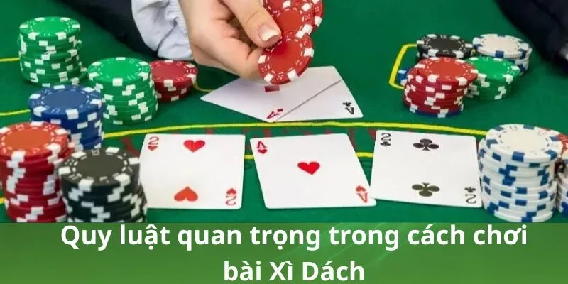 Quy luật quan trọng trong cách chơi bài Xì Dách