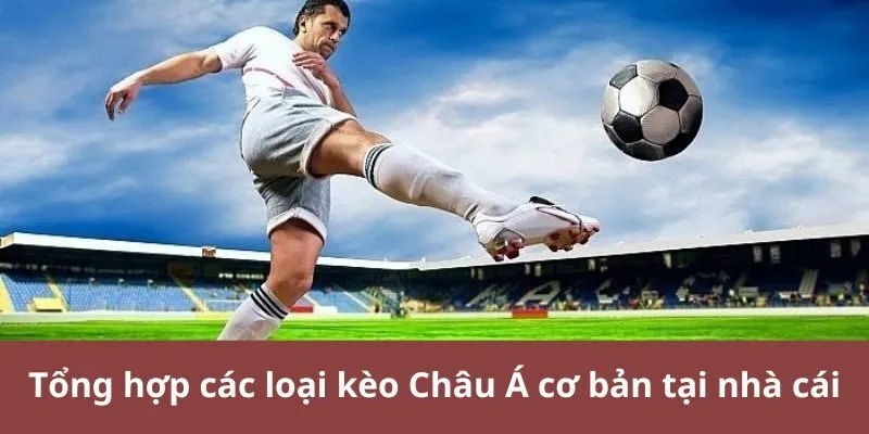 Tổng hợp các loại kèo Châu Á cơ bản tại nhà cái